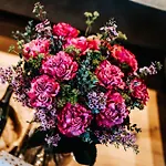 La Complice Des Rails - Le Passage Secret *