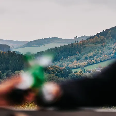 La Complice Des Rails - Le Passage Secret Lodge Stavelot