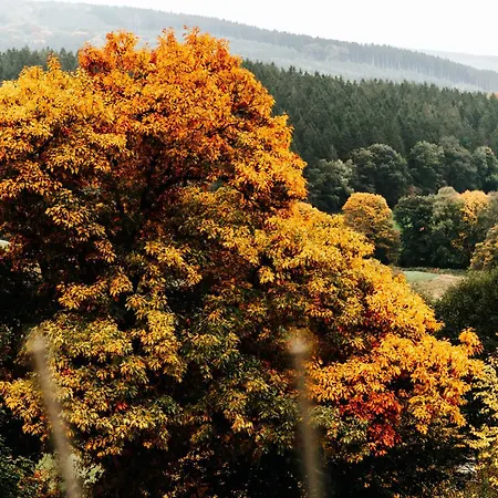 La Complice Des Rails - Le Passage Secret Lodge Stavelot