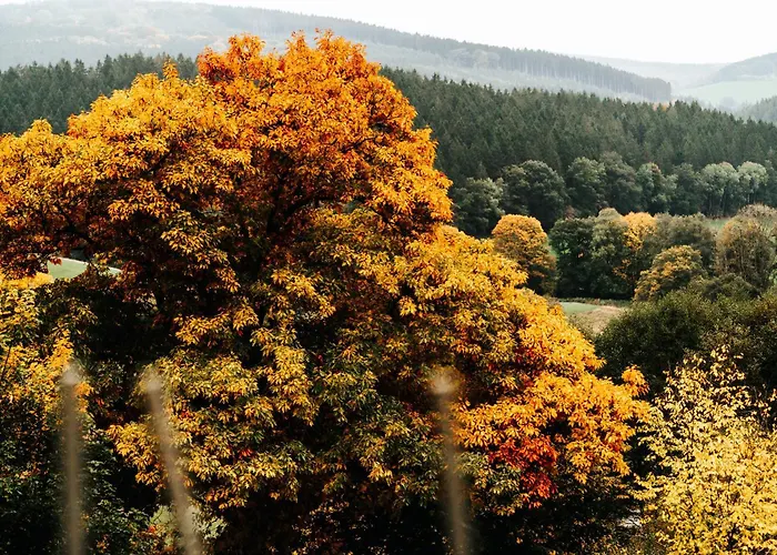 La Complice Des Rails - Le Passage Secret Lodge Stavelot